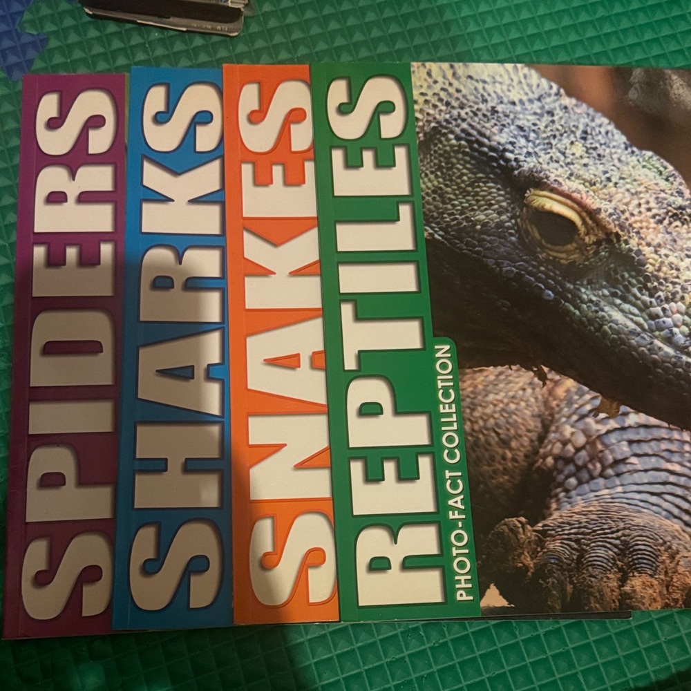 4 Photo-Fact Collection Book Set - Multicolor